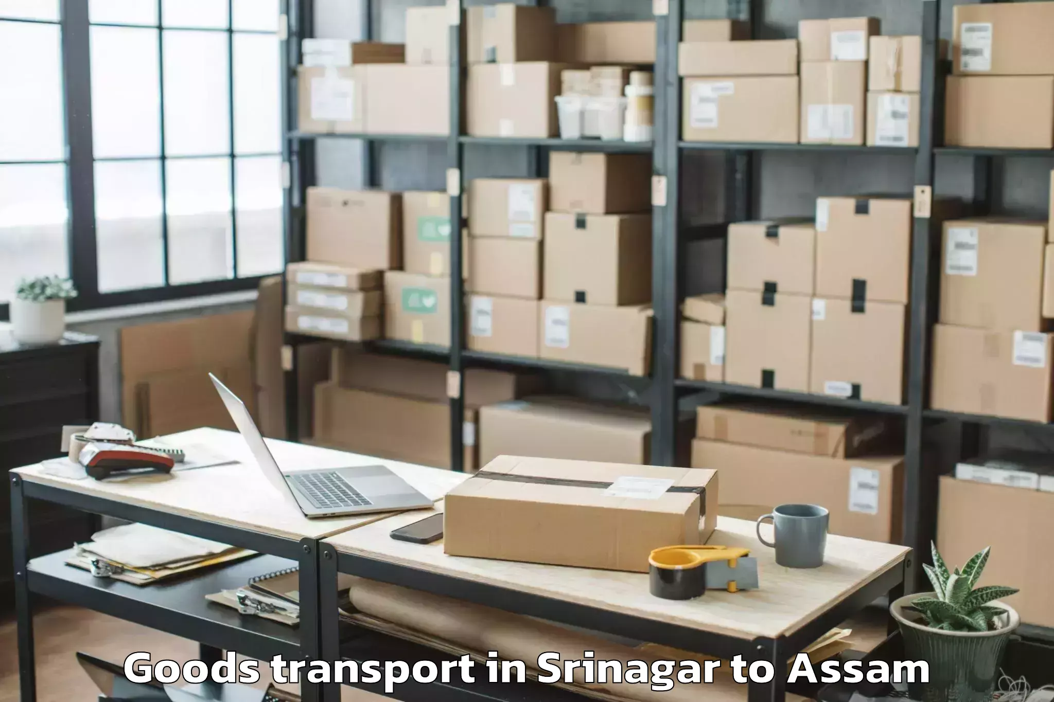 Book Srinagar to Tengakhat Goods Transport